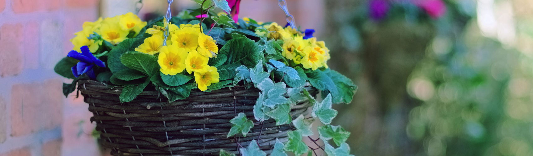 flower basket